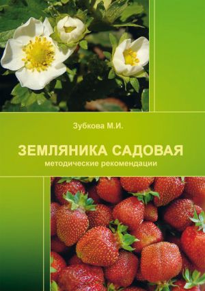обложка книги Земляника садовая (методические рекомендации) автора М. Зубкова
