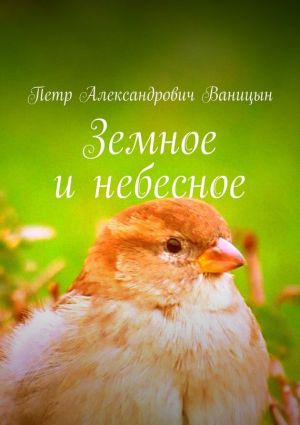 обложка книги Земное и небесное автора Петр Ваницын