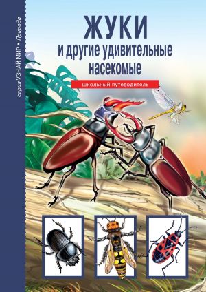 обложка книги Жуки и другие удивительные насекомые автора Сергей Афонькин