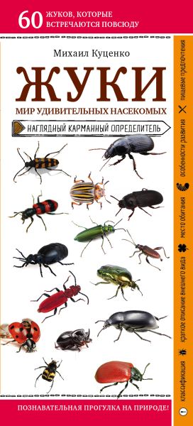 обложка книги Жуки. Мир удивительных насекомых автора Михаил Куценко