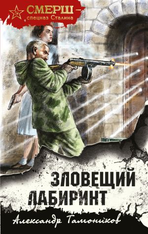 обложка книги Зловещий лабиринт автора Александр Тамоников