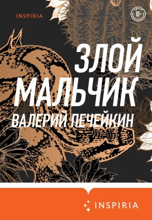 обложка книги Злой мальчик автора Валерий Печейкин