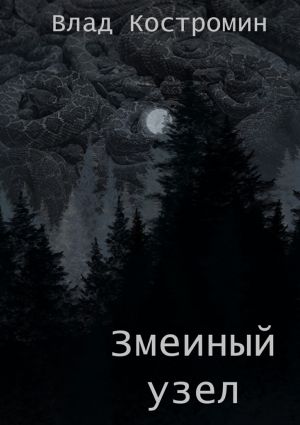 обложка книги Змеиный узел автора Влад Костромин