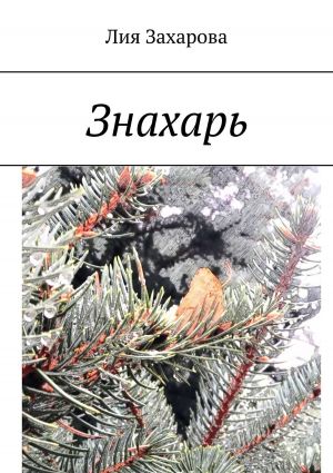 обложка книги Знахарь автора Лия Захарова