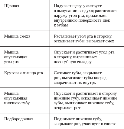 Каковы особенности прикрепления мимических мышц. Мышцы головы мимические и жевательные таблица. Мимические мышцы головы таблица. Функции мимических мышц головы. Мимические мышцы функции таблица.