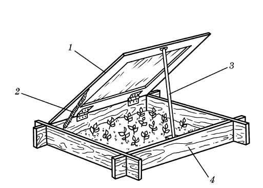 Деревянный парник для огурцов своими руками чертежи