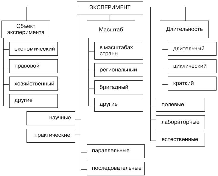 Логическая схема эксперимента