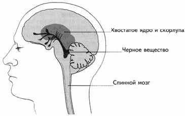 Черное соединение