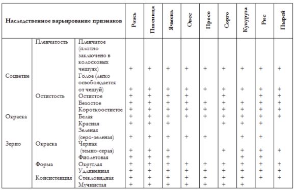 Закон вавилова о гомологических рядах наследственной изменчивости презентация