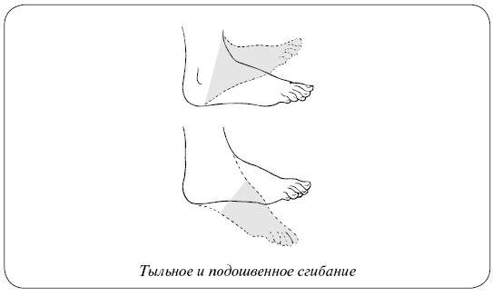 Подошвенное сгибание стопы