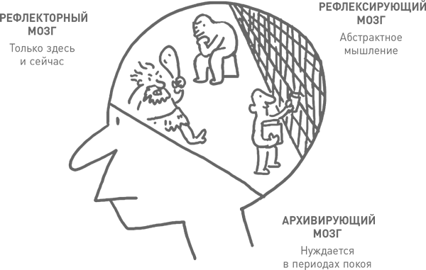 Мозг освобожденный. Тео Компернолле мозг освобожденный. Мозг освобождение. Рефлексирующее архивирующий мозг. Мозг освобожденный статья.