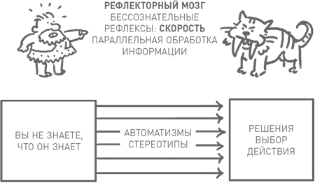 Мозг освобожденный. Скорость обработки информации мозгом. Скорость обработки информации мозгом поражает.