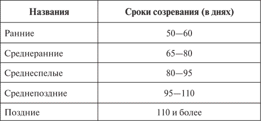 Ранний картофель срок созревания