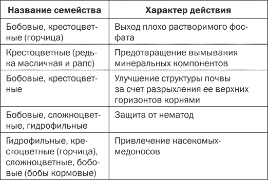 Сидераты список с картинками