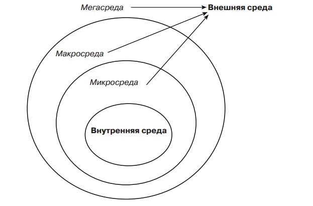 Внешняя среда рисунок