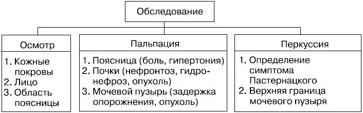 Схема объективного обследования больного