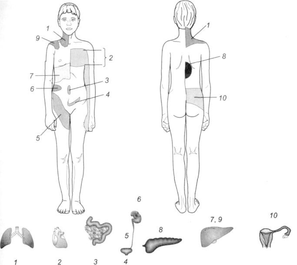 Зона поверхности. Отраженная боль тудовище. Внутренние органы и отраженная боль. Боль местная проекционная иррадиирующая. Виды боли органов схема.