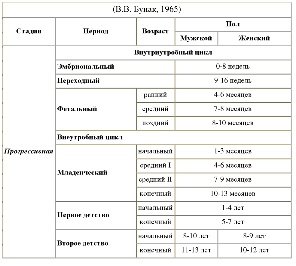 Онтогенез возрастные периоды