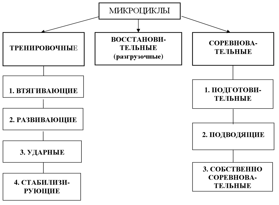 Схема компонентов системы спортивной подготовки