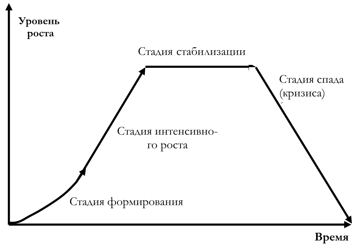 Шапиро управление проектами