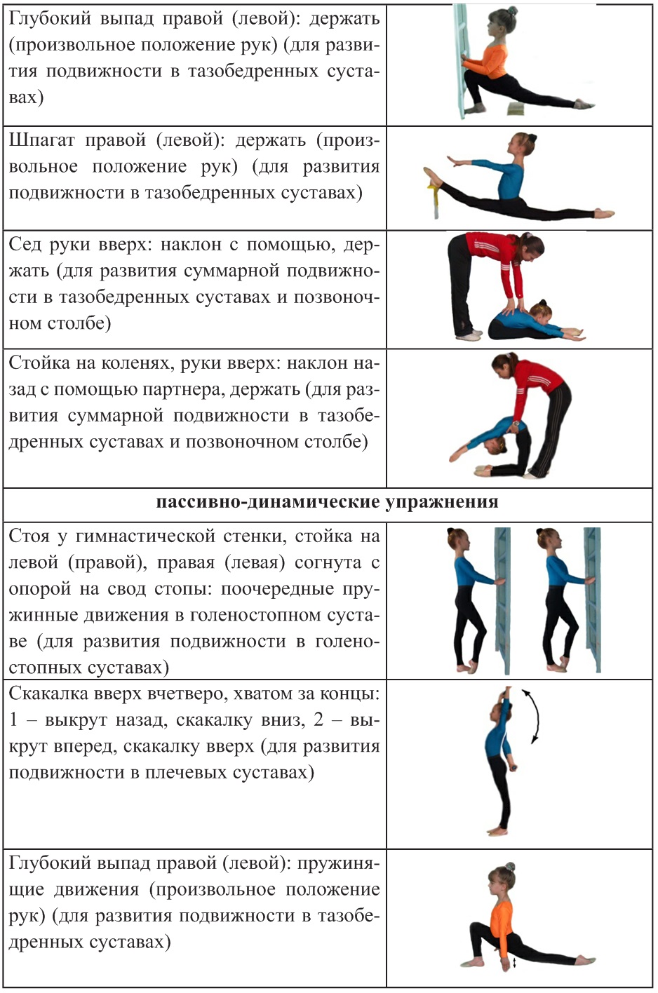 Характеристика динамического упражнения