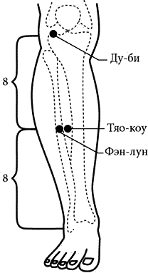 Точка e. Е40 точка акупунктуры. E40 точка акупунктуры. St40 точка акупунктурная. St-40 точки акупунктуры.