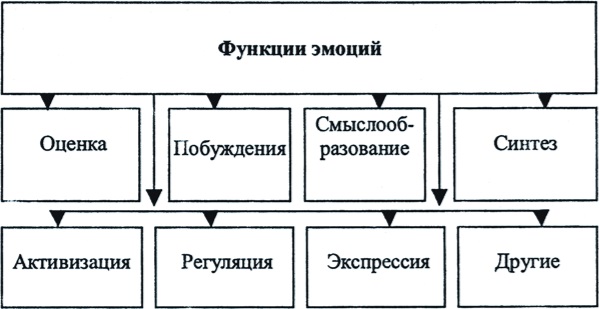 Функции эмоций схема