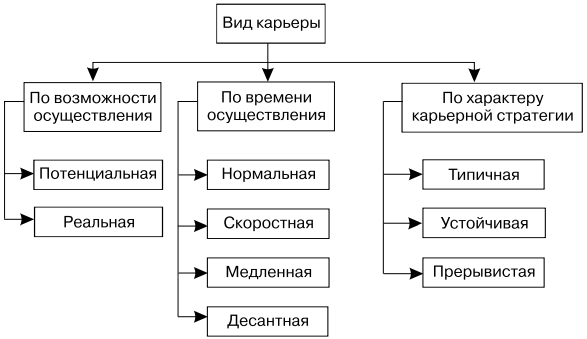 Профессиональная карьера схема