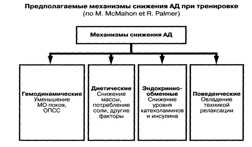 Определение толерантности к физической нагрузке