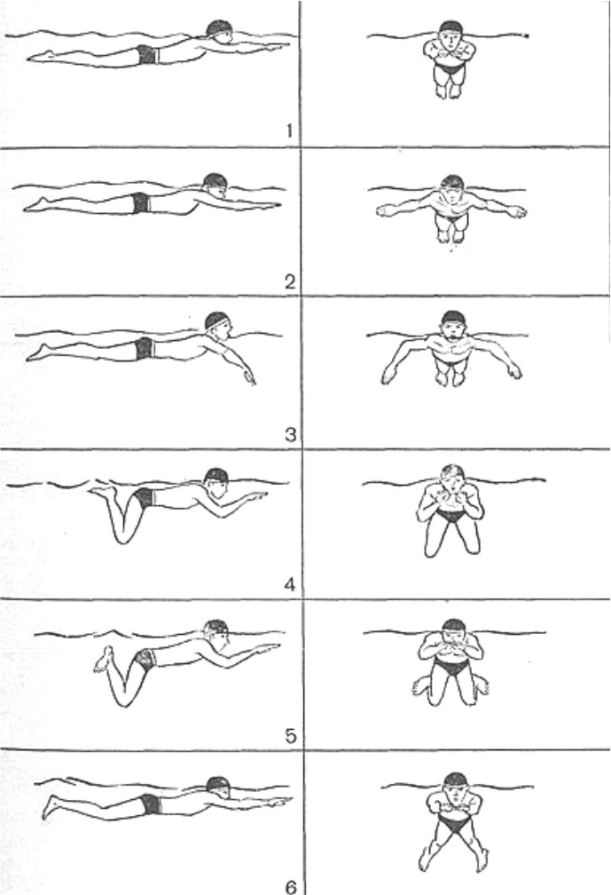 Как правильно плавать. Стиль плавания брасс техника. Техника плавания брассом пошагово для начинающих. Плавание кролем брассом. Техника плавания брасс схема.