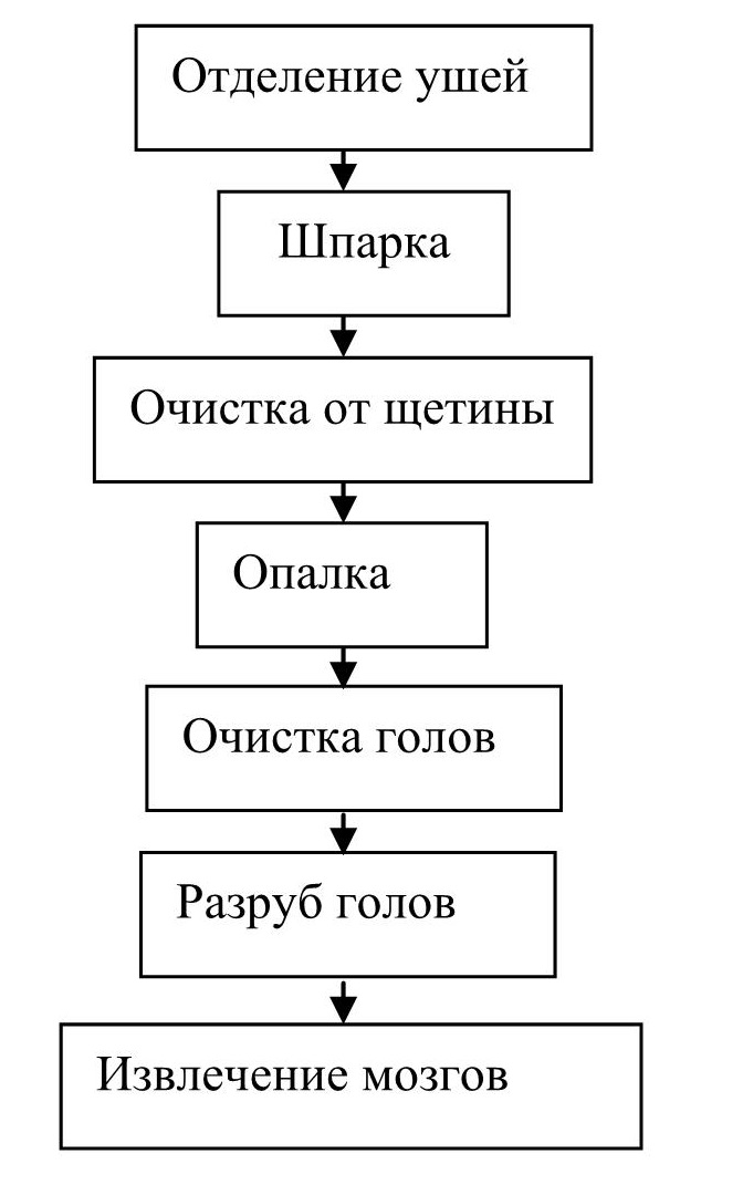 Технологическая схема обработки шерстных субпродуктов