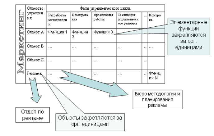 Структура функций организации. Иерархия функций в компании. Закрепление ролей функций. Функции структура управления. Описание бизнес функции.