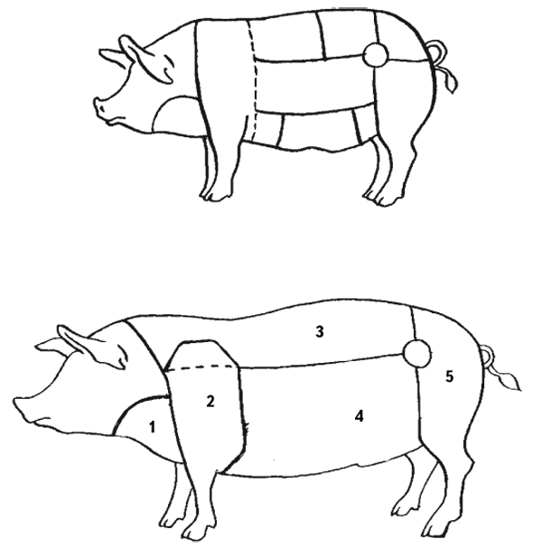 Свинья в разрезе схема