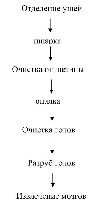 Технологическая схема обработки шерстных субпродуктов