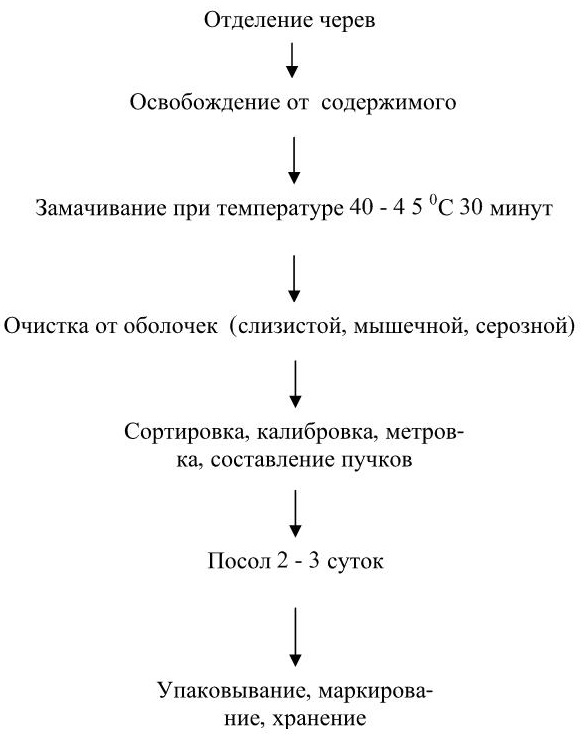 Схема обработки почек