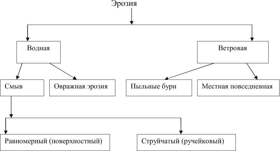 Схема эрозии почвы