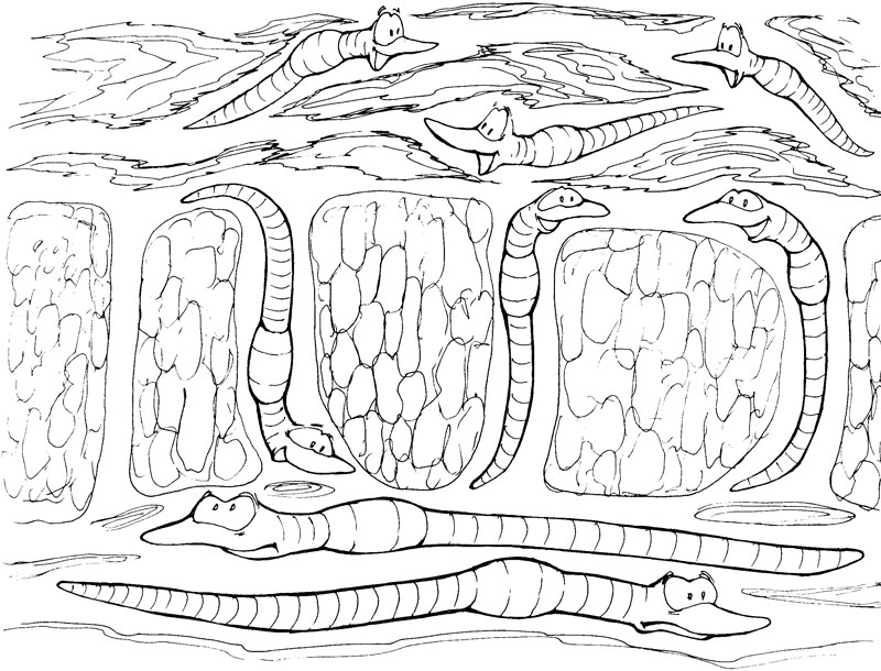 Дождевой червь рисунок карандашом