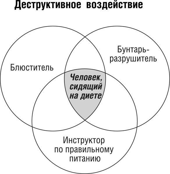 Интуитивное питание схема