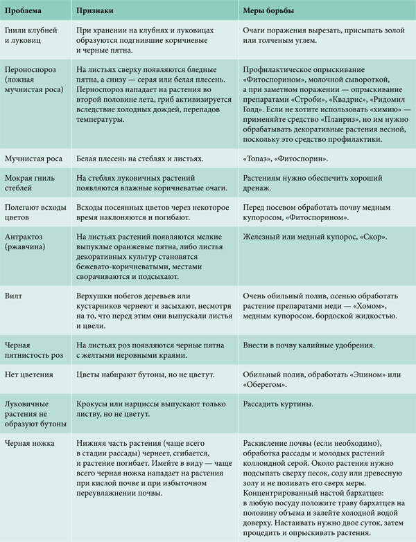 Можно ли обрабатывать стены медным купоросом в жилой комнате