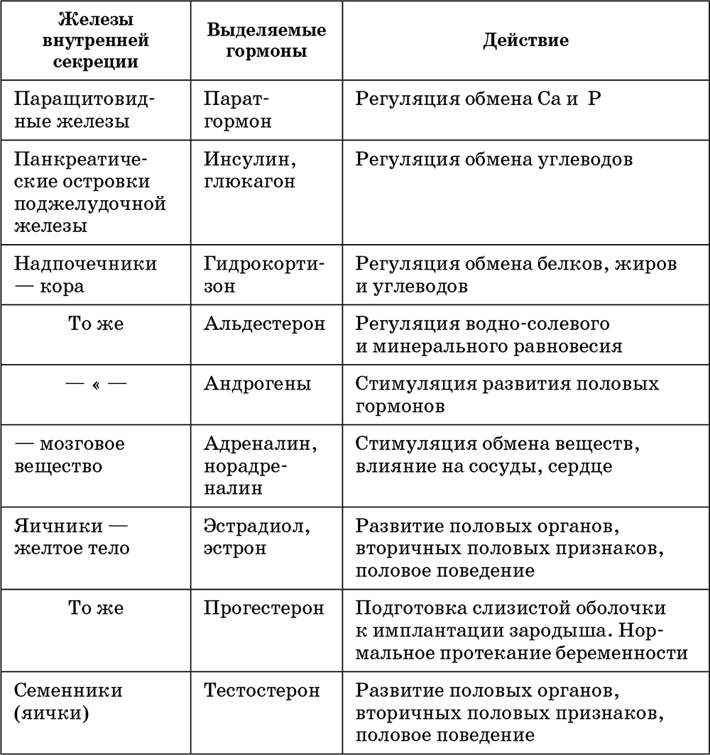 Биология 8 класс железы внутренней секреции схема