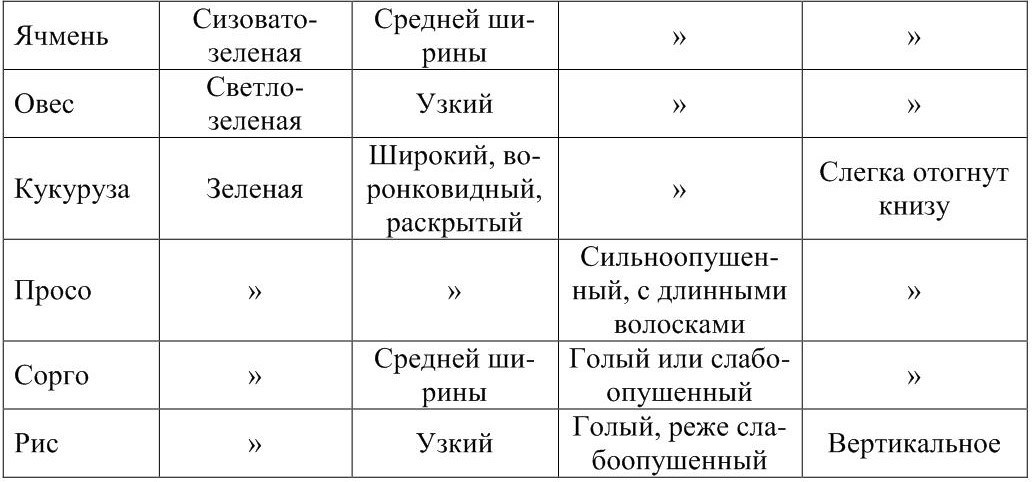 Таблица группы 1. Отличительные признаки всходов хлебных злаков таблица. Характеристика хлебов 1 группы по зерну таблица. Родовые отличия хлебов первой и второй группы. Характеристика хлебов 1 группы.