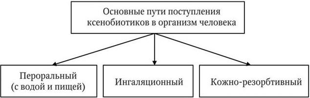 Lektsia_2 презентация
