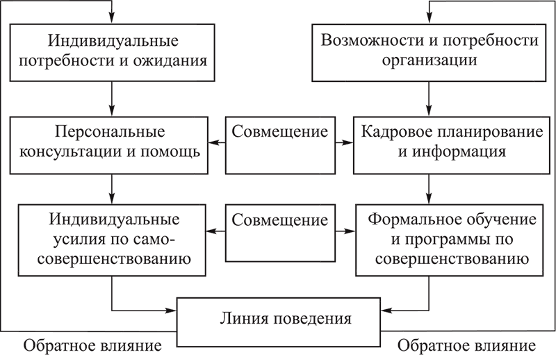 Процесс карьеры в организации. Процесс планирования карьеры. Планирование деловой карьеры. План управления карьерой в организации. Процесс планирования и развития карьеры схема.