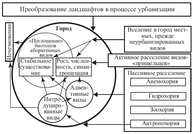 Ландшафт процессов