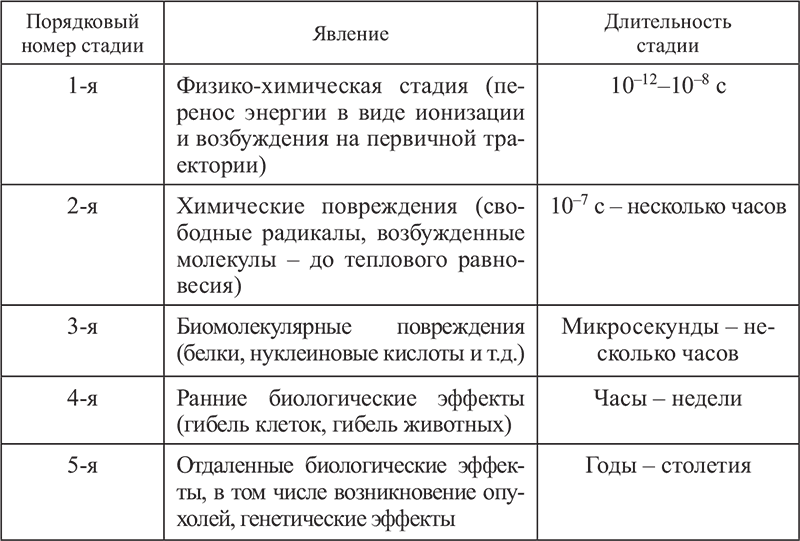 Этап воздействия. Этапы действия ионизирующих излучений на биологические объекты. Стадии воздействия ионизирующего излучения на биологический объект. Стадии действия ионизирующего излучения на организм. Стадии воздействия ионизирующего излучения на организм.