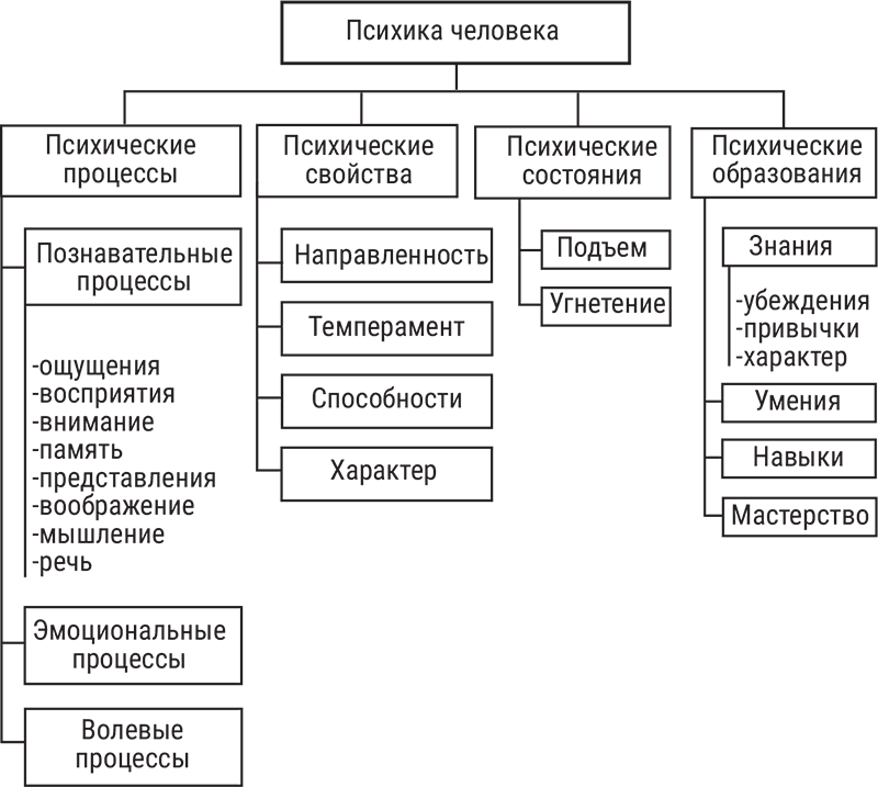 Все психические явления необходимо рассматривать в динамическом плане