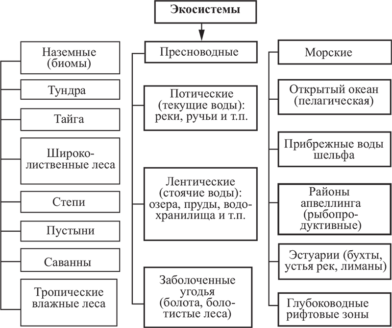 Многообразие экосистем схема