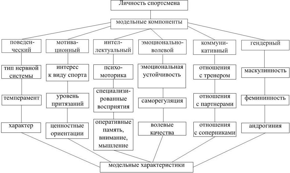 План работы спортивного психолога