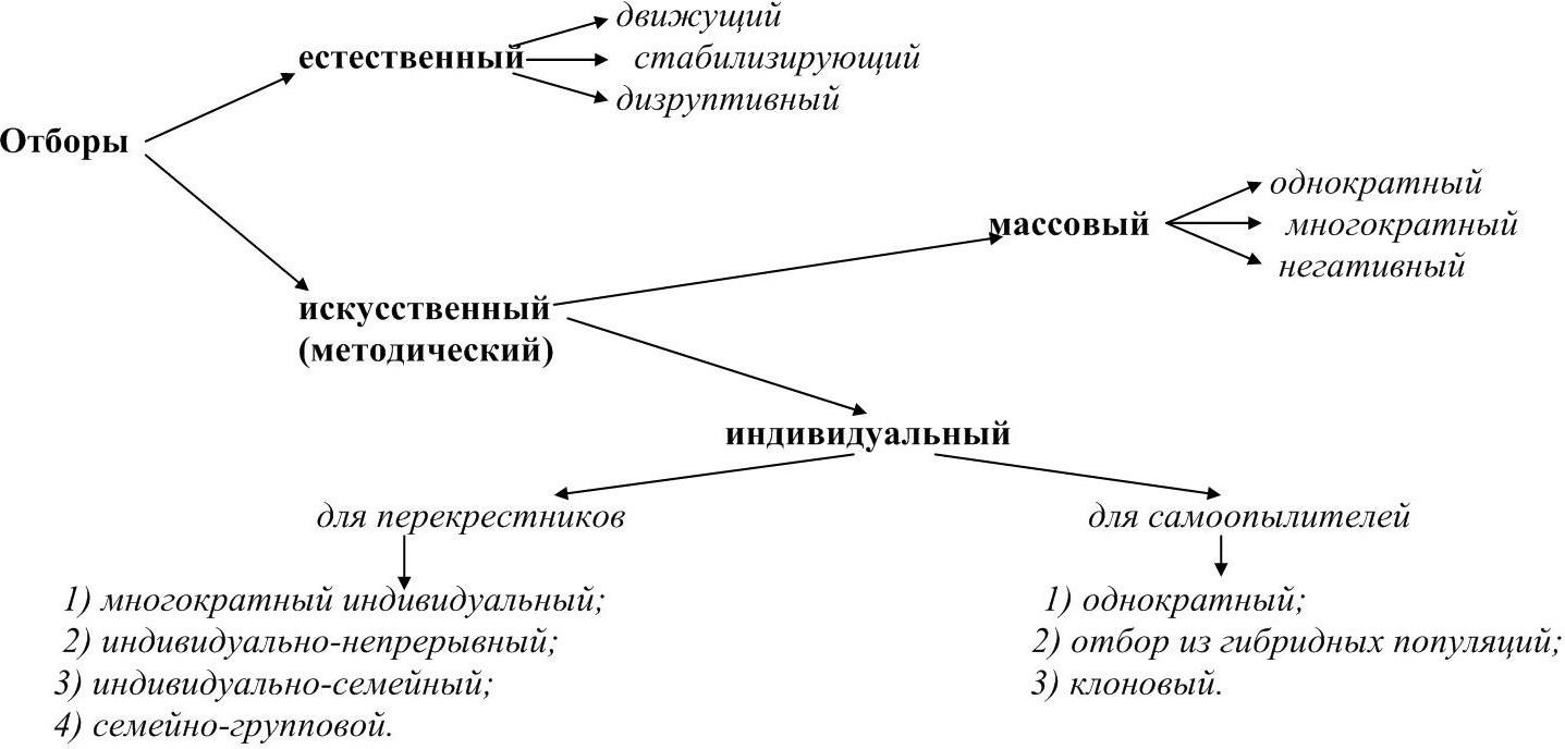 Схема вида искусственного отбора