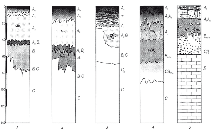 Схема почвенных горизонтов